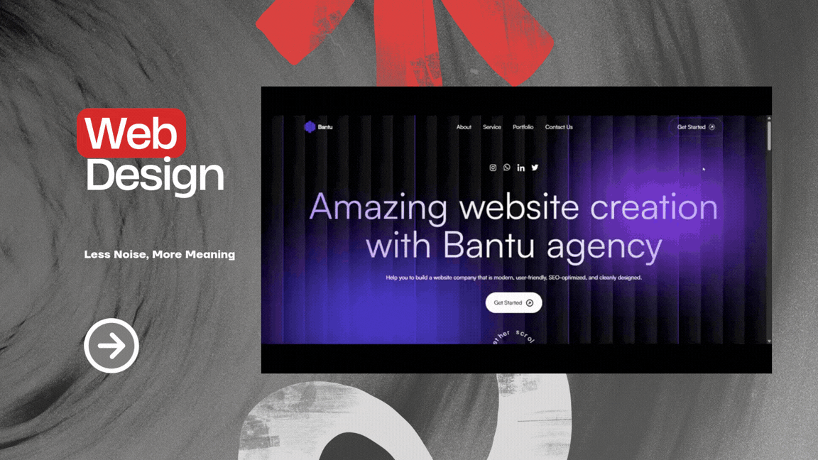 Web Designer & Developer